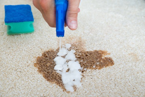 Spot cleaning carpet with vinegar