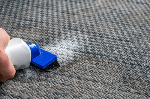 Simple DIY Carpet Cleaning Tips