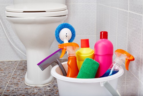 How Often Should I Clean The Toilet Bowl?