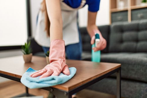 Why Trust Auntie Cleaner with Your Luxury Apartment Cleaning